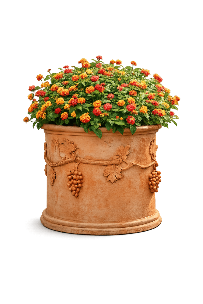 Pot en terre cuite cylindrique d’Impruneta avec relief de vignes